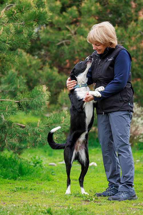 Кинологический Клуб Рублевка