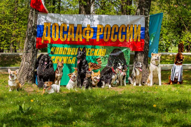 Кинологический Клуб Рублевка