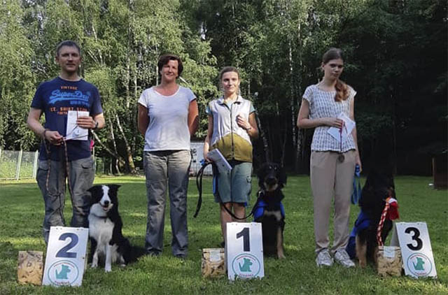Аджилити