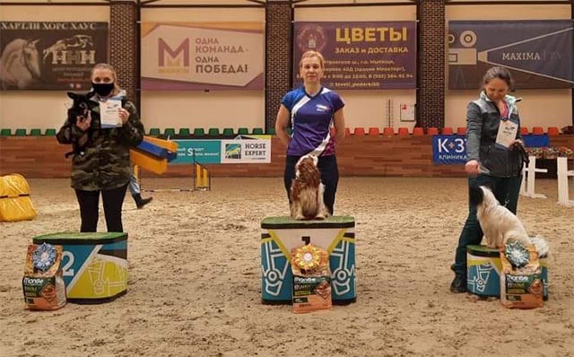 Аджилити на Рублевке