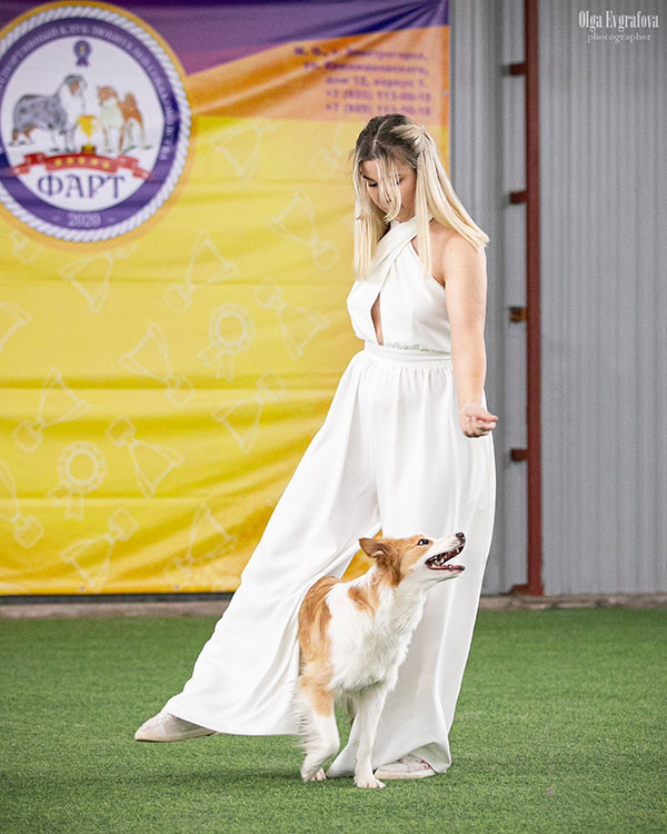 танцы с собаками рублевка